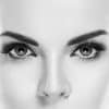 Permanent eyebrows belfast black and white